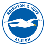 Brighton & Hove Albion badge